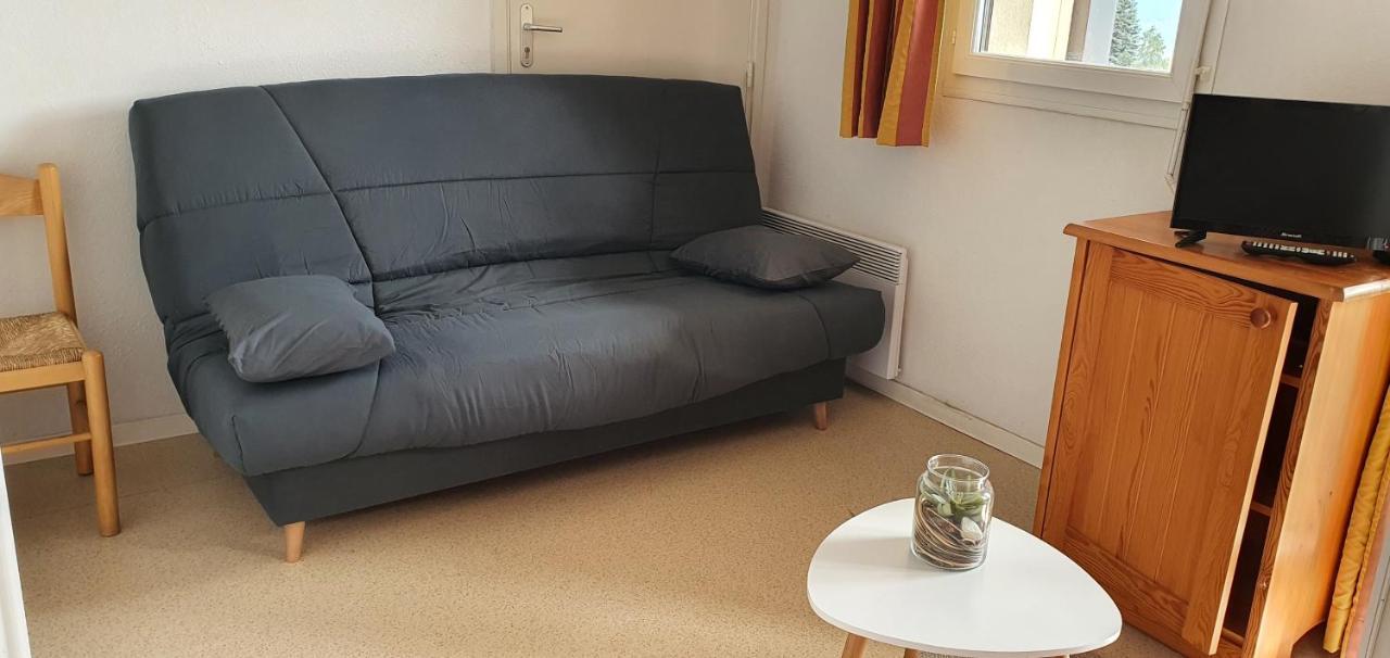 Charmant Studio Face Aux Pyrenees 丰罗穆 外观 照片